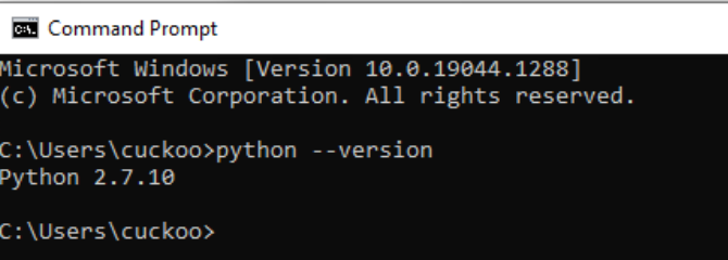 Python в guest